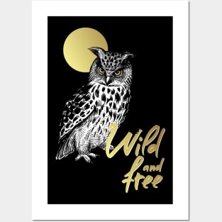 owl 1 Posters and Art